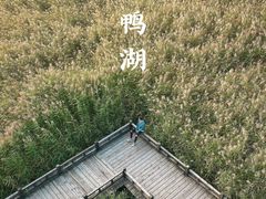 -野鸭湖国家湿地公园