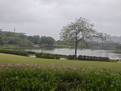 -东莞植物园