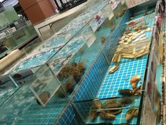 水产区-狮伙海鲜捞(千灯湖店)
