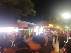 -广州长隆国际大马戏
