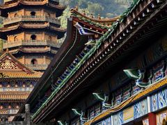 -天目山大树王景区