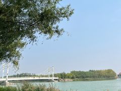 -塘沽森林公园