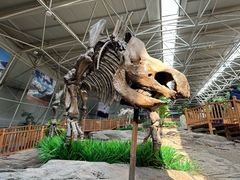 -中国第四纪冰川遗迹陈列馆
