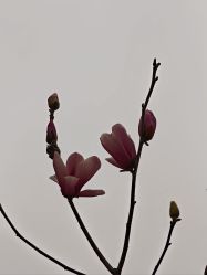 -福州儿童公园