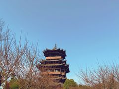 -杭州半山国家森林公园