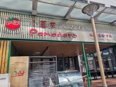 -小蕃茄意大利餐厅(开发区时尚天街店)