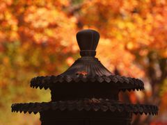 -香山公园