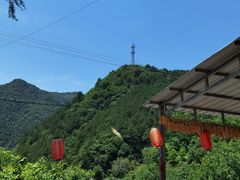 -王顺山国家森林公园