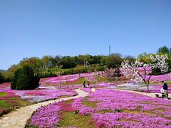 -棒棰岛宾馆景区