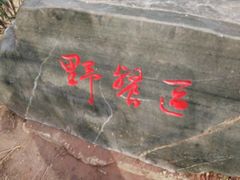 -枫香湖儿童公园