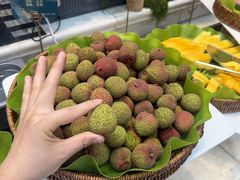 -半岛听涛蒸汽海鲜自助(K11店)