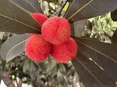 -江南雅厨(李公堤店)