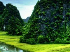 -曲江薰衣草庄园