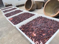 -苏州市吴中区光福窑上花果蜜饯厂