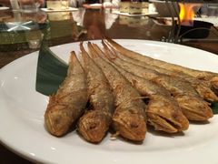 河刀-小时候2013(瀚新店)