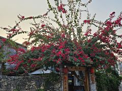 -三亚西岛海洋文化旅游区