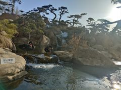 -罗红摄影艺术馆