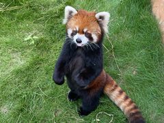 -泉州海丝野生动物世界