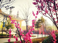 -郑州西亚斯学院-体育学院