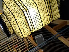 -探窝·竹笙椰子鸡(杨箕店)