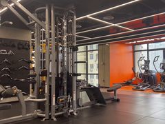 -健身专家Wellness Experts