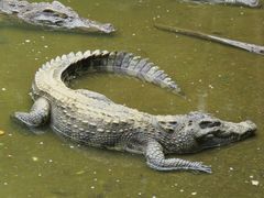 -广东茂名森林公园