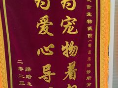 -艾吉宠物医院·疑难杂症转诊中心·猫友好(碧江路院)