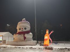 -沈阳奥体冰雪嘉年华