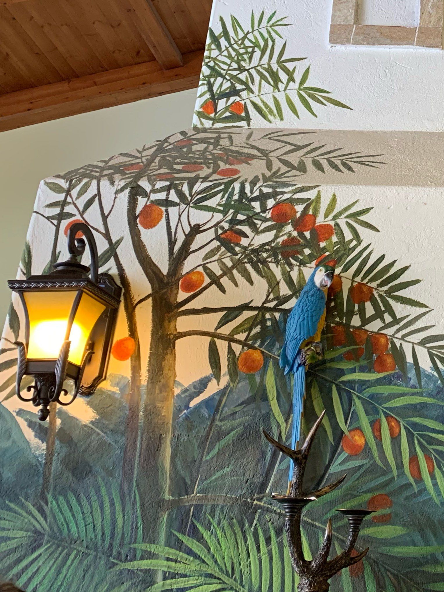 热带雨林风格彩绘