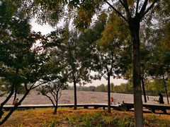 -东郊湿地公园
