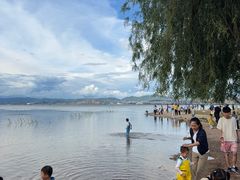 -洱海月湿地公园