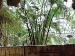 -龙达温泉生态城