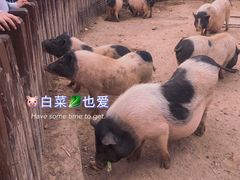 -太原动物园