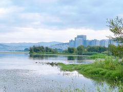 -大理洱海