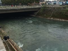 -老号尤兔头(幸福店)