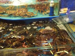 iphone_upload_pic-波记农庄