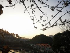 -广州市流溪河国家森林公园