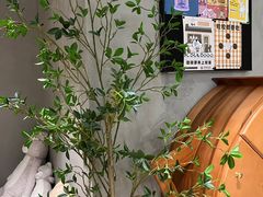 -Cappucimeow猫咪咖啡馆(韦伯时代店)