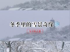 -高尔山公园