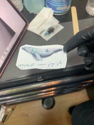 -飛凡TATTOO纹身•原创