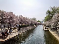 -大望京公园