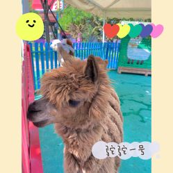 -萌宠亲子动物乐园(槐房万达店)