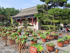 -大慈恩寺(大雁塔)