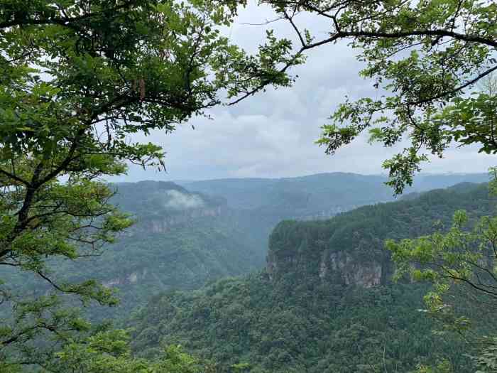 鱼木寨-"湖北恩施州利川县大兴镇鱼木寨[调皮],一."-大众点评移动版