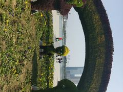 -映月湖中央公园