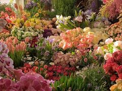 -亭亭鲜花店(中山北路店)