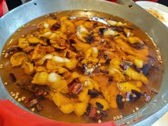 水煮鱼（鮰鱼斤）-正兴蜀园(科技园区店)