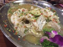 -荷花泰菜(东方新天地店)
