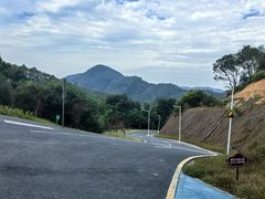 -黄埔油麻山森林公园