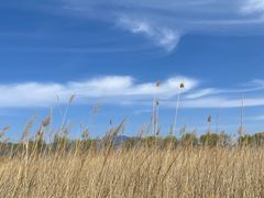 -野鸭湖国家湿地公园